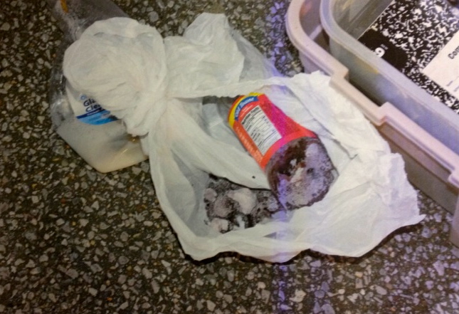 methページ Major Meth Lab Busted in Hambden | Geauga County Maple LeafGeauga