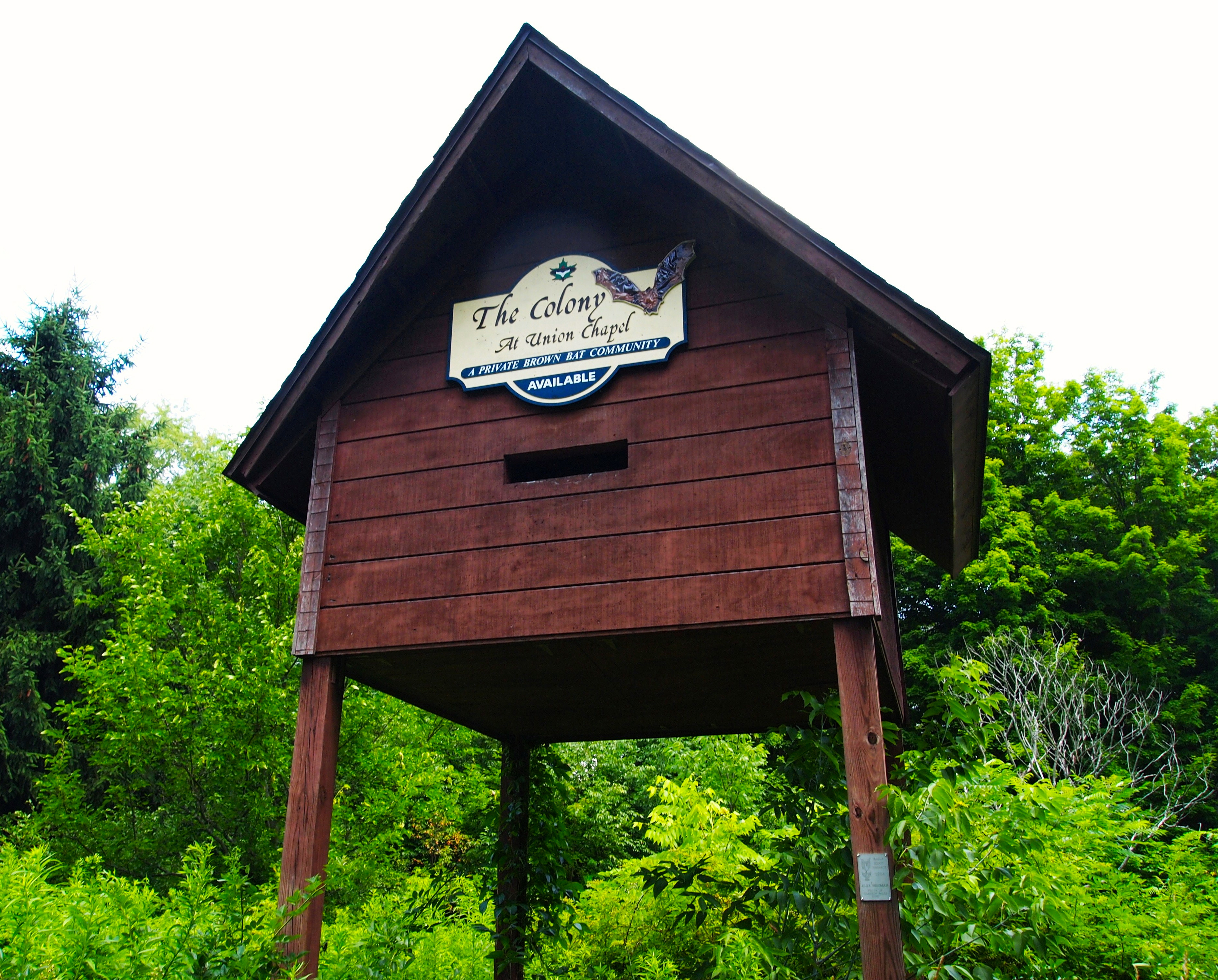 Park District Offers a Rare View of Bats at Twilight | Geauga County ...