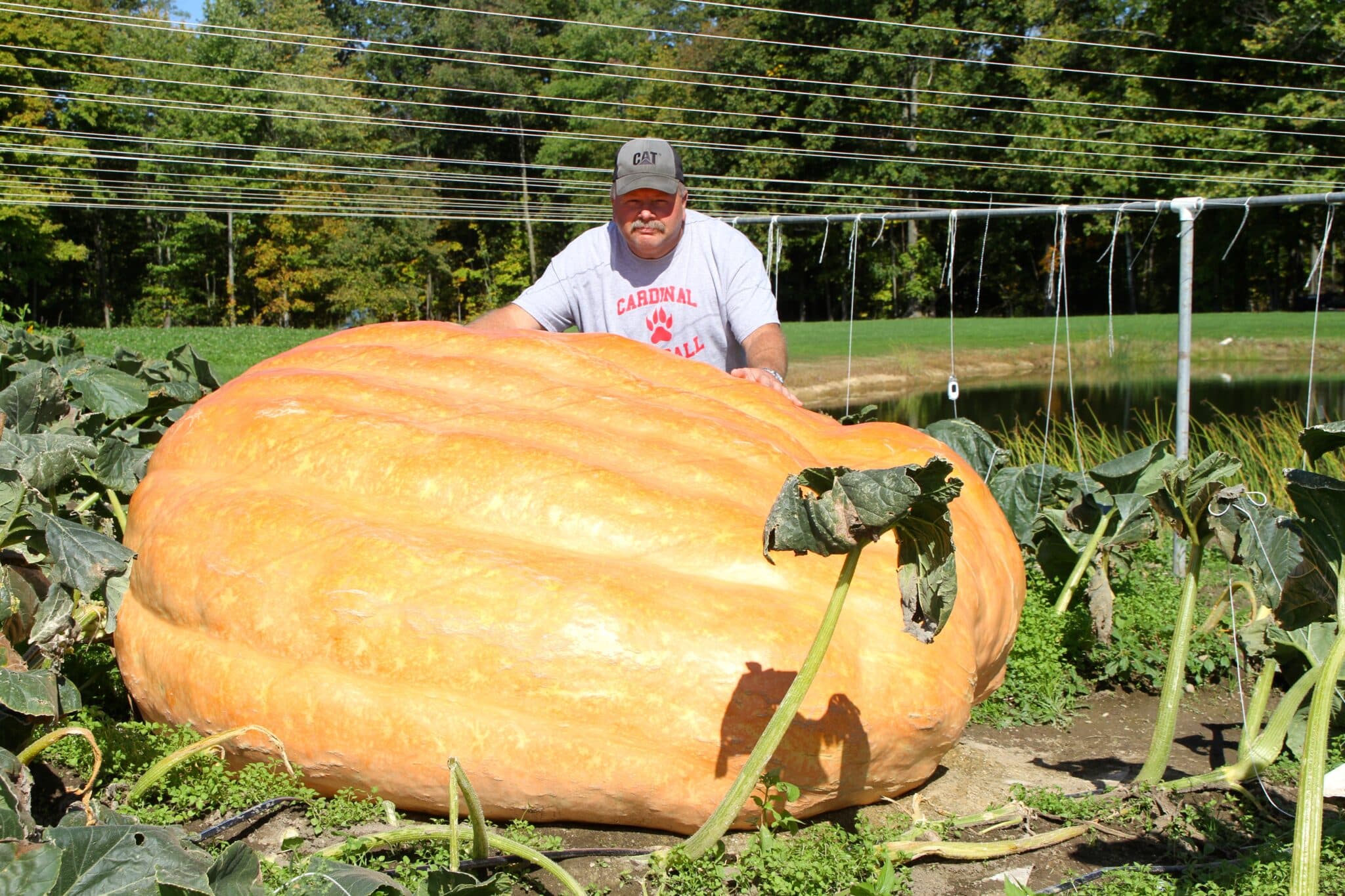 Huntsburg's King of the Pumpkin Patch (w/Video) | Geauga County