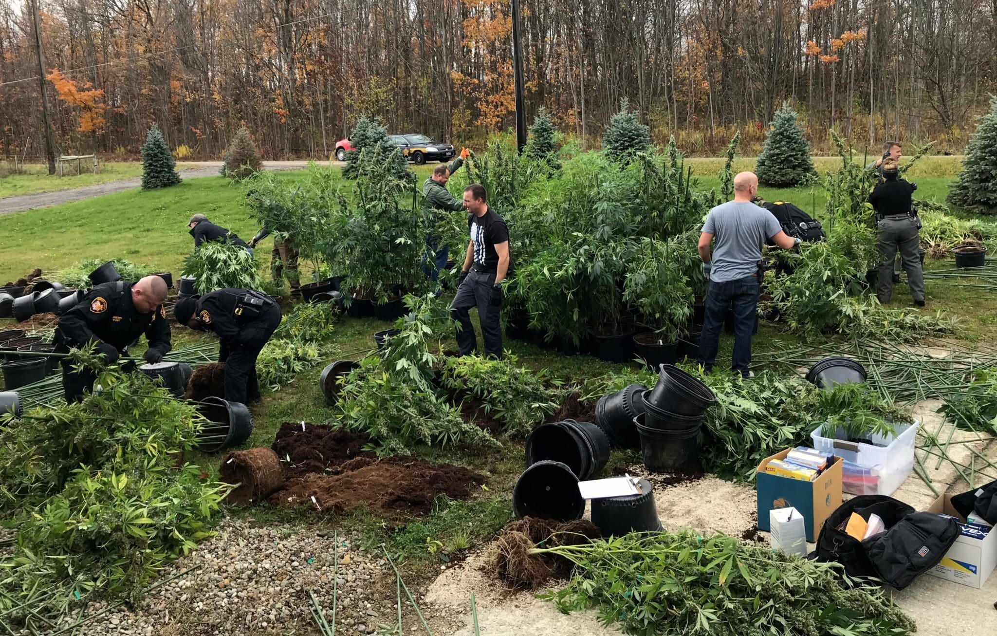 4 Charged in Thompson Drug Bust | Geauga County Maple Leaf