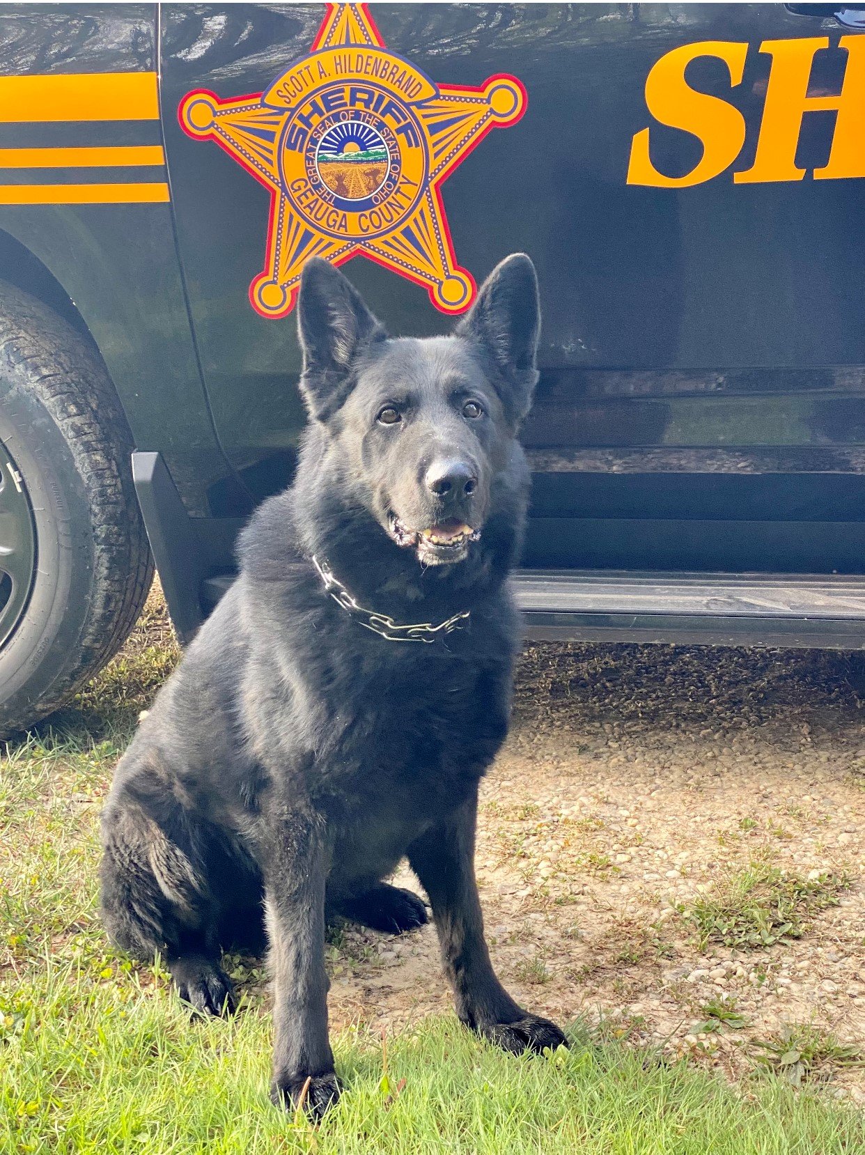 Windsor Man Arrested for Drug Possession | Geauga County Maple Leaf