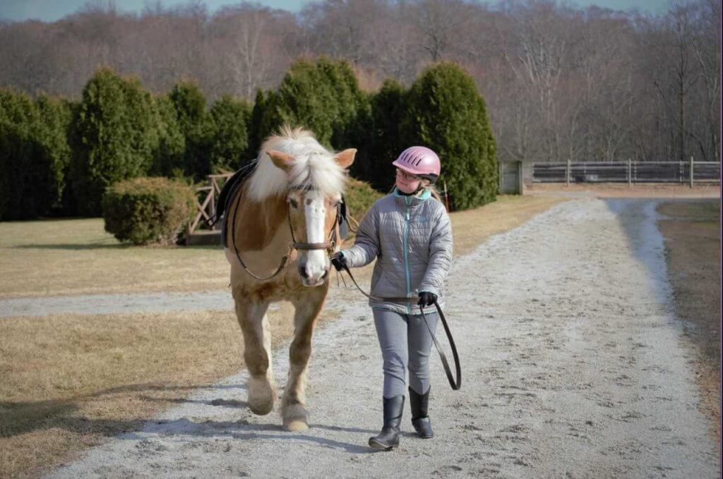 Chjf Chagrin Hunter Jumper Classic Opens at CVF July 7 | Geauga County Maple ...