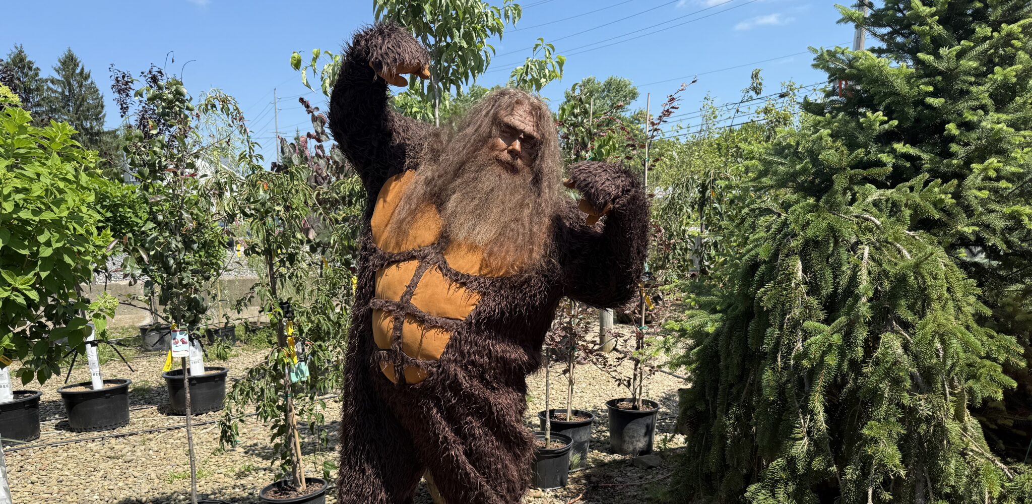 Bigfoot Festival Brings Bigtime Believers to Middlefield | Geauga