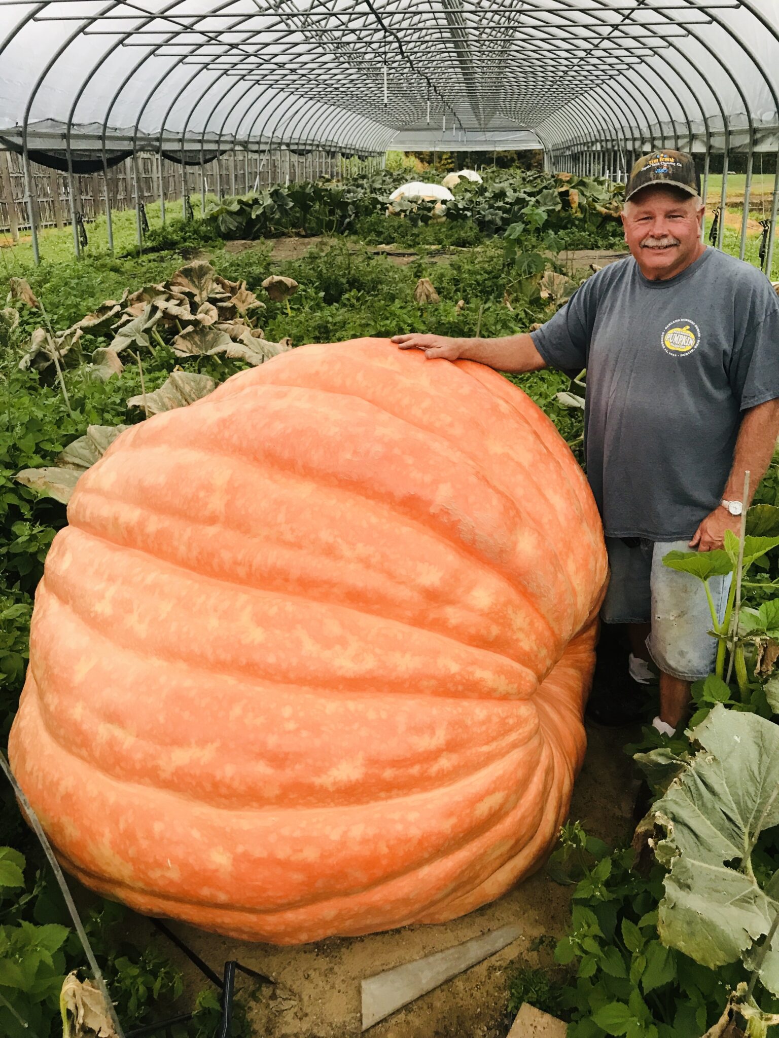 Pumpkins Will Roll … | Geauga County Maple LeafGeauga County Maple