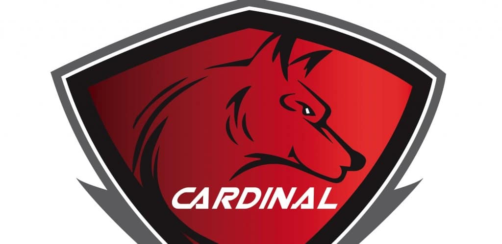 Cardinal BOE OKs Certified Staff to Carry Guns on Campus