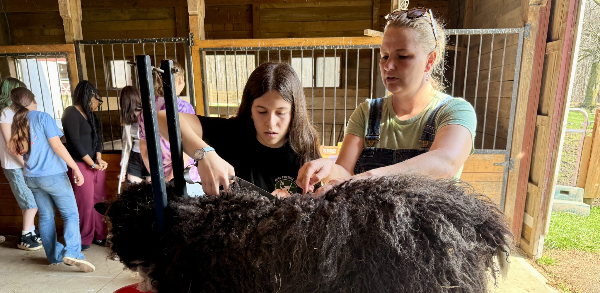 Hershey Students Spin Lessons From Farm to Fiber