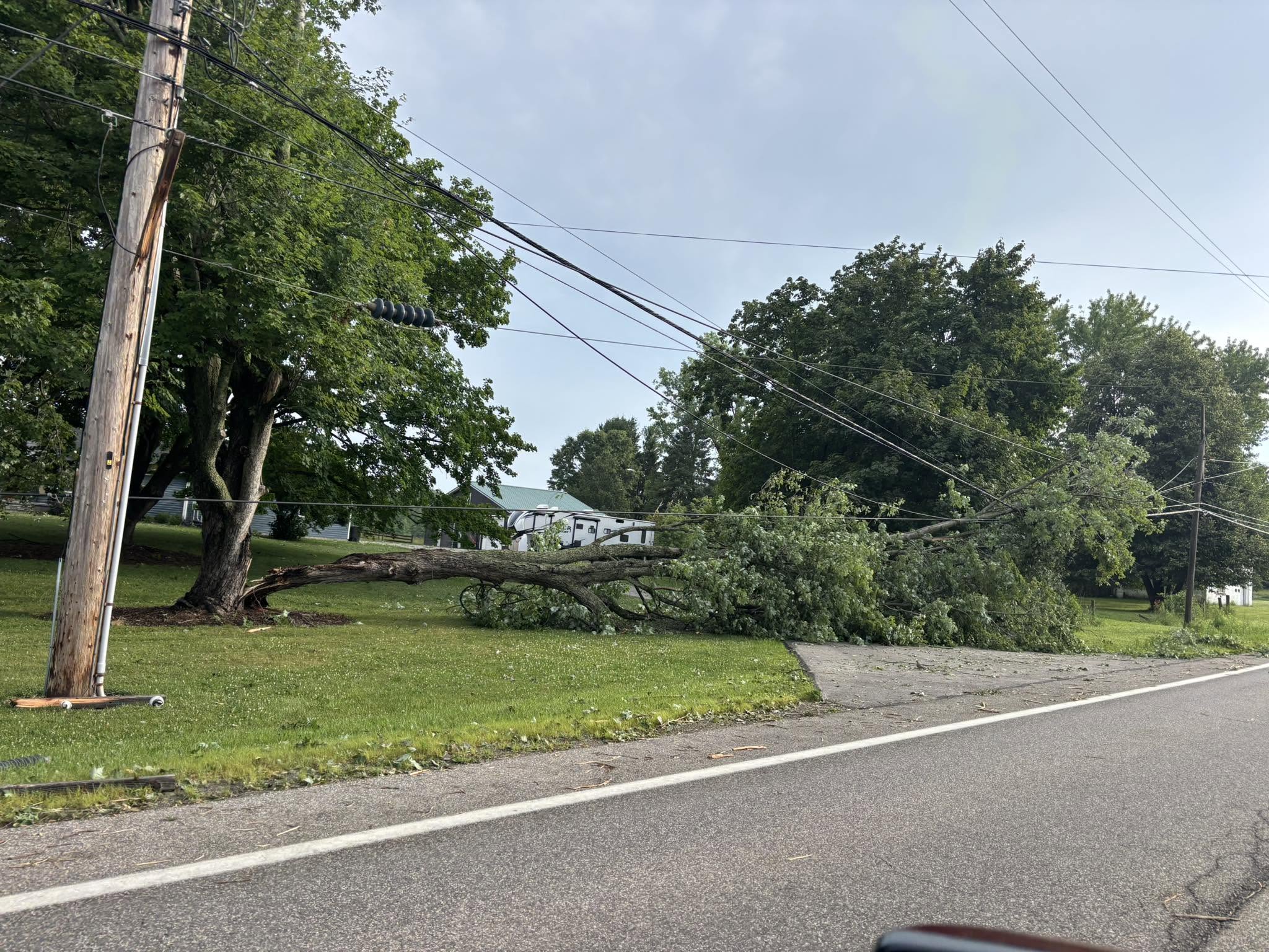 Storm Downs Trees, Power Lines Amidst Fireworks Display | Geauga County ...