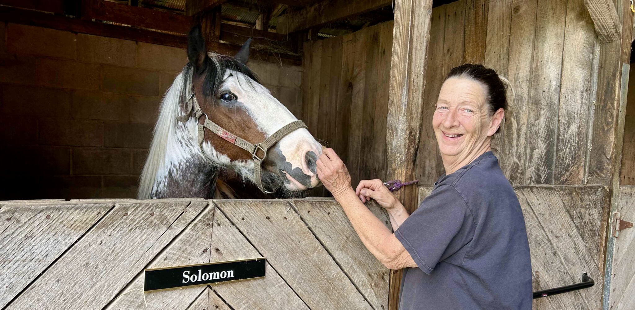 Parkman Horse Farm Gets a Second Wind